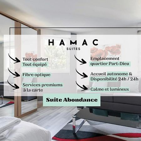 Apartmán Studio Abondance - Proche Garemetrobus - Calme Lyon Exteriér fotografie